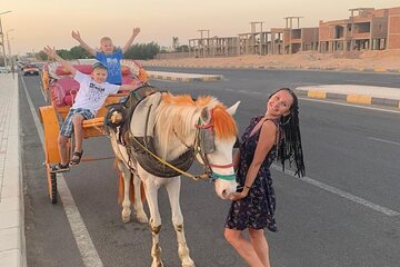 Horse Drawn Carriage 3 Hours at the Desert, transfer - Hurghada 