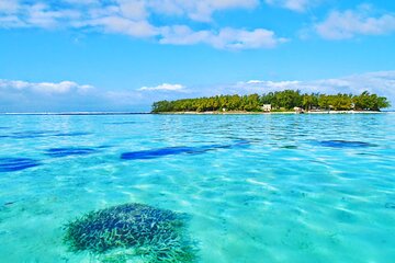 Private Speedboat Island Hopping: Ile aux Cerfs, Lunch, Snorkeling & Transport