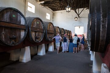 Historic Winery Tour and Tasting in Bombarral