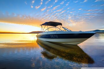 Private Speed Boat Tour and Dolphin Encounter at Ile aux Benitier