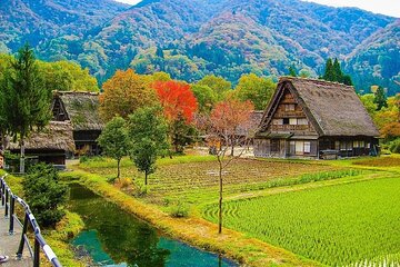 Shirakawago and Takayama 2 Days Tour from Osaka or Kyoto