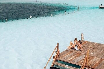 Swim Tour 3 cenotes and 1 lagoon & Lunch from Tulum City