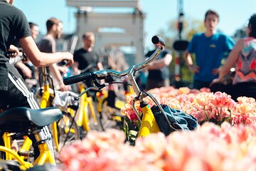 Small City Bike Tour