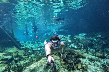 Tulum Ruins & Casa Tortuga Eco Adventure! 4 Cenotes from Tulum City