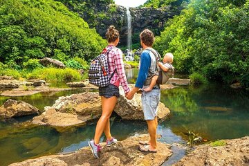 Waterfalls Tour in Mauritius with Private SUV Car and Lunch