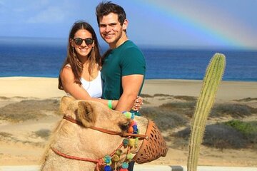 Camel Encounter and Safari Ride. Includes lunch & alcohol tasting