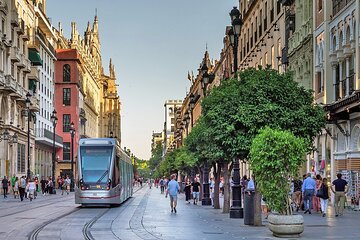 First time in Seville Introductory Private Tour