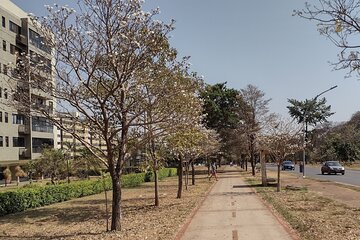  Private city tour in Portuguese.