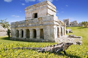 Magical adventure through Tulum. Cenotes, ruins and sculpture tour. 