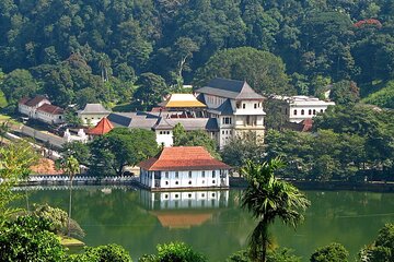 Kandy Day Trip with Tooth Relic Temple & Unique Attractions