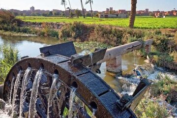 2 Days Camping Trip PRIVATE in Fayoum Oasis from Cairo