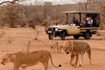 3 Day Kruger National Park Safari from Johannesburg Tour