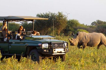 Hluhluwe Imfolozi Game Reserve 2 Day Safari from Durban