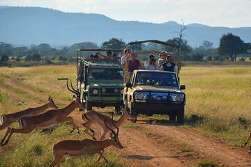 Hluhluwe Imfolozi Game Reserve & Phezulu Safari Park from Durban