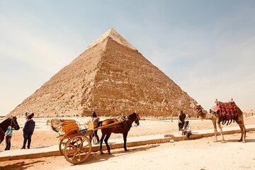 Half Day Tour to Giza pyramids by horse carriage