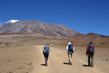 Hiking Mt Kilimanjaro 8 days, the most scenic route up Kili