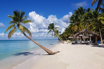 Rumbadera in Saona Island full day