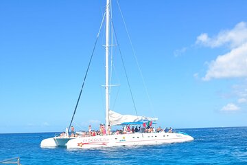 Full Day Tour Saona Island by speedboat from Punta Cana