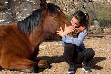 Horseback expedition to The Andes, 2 days. Sleep in the heart of the mountain. 