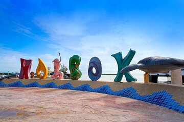 Discover the Wonders of Holbox, Cenote and Passion Island. Transport included