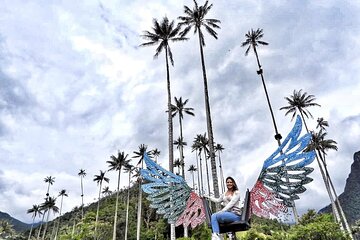 Cocora Valley and Salento Hike Tour