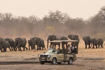 Game Drive Morning & Afternoon