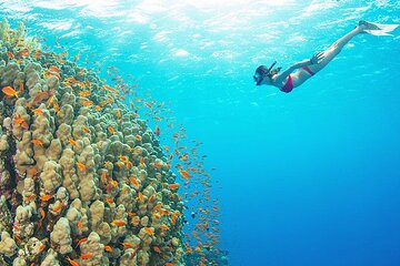  Day Tour On Yacht Included 2 Dive With Lunch At Hurghada 