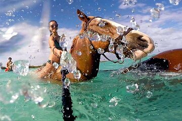 Horseback Ride Adventure Activity Inclusive With Transportation From Montego Bay