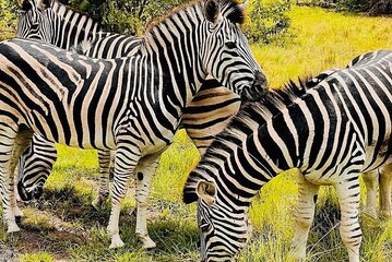 Private Shai Hills To Akosombo Experience 