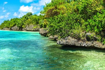 Exotic East of Mauritius: Full-day incl Ile aux Aigrette & Blue-Bay Marine Park