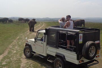 Kaudulla National Park - Private Safari from Sigiriya