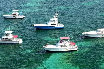 Half Day Deep Sea Fishing Tour from Punta Cana