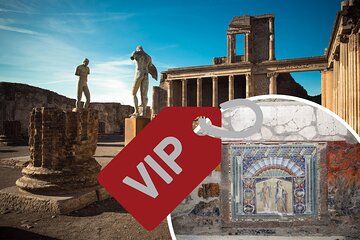 Discovering Popmeii and Herculaneum - VIP Tour with Lunch 