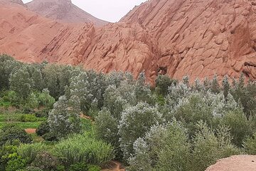 private 3 days Fes to Marrakech desert tour