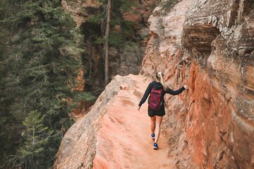 Zion Full Day Private Tour & Hike