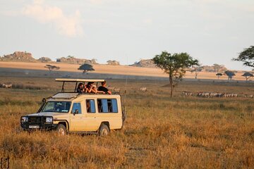 5-Day Private Camping Tarangire Serengeti Crater Manyara