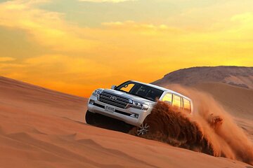4-Hour Private Morning Desert Safari Jeep Admiring Desert Flora and Fauna