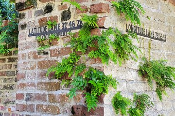 Private Walking Tour of Historic Charleston