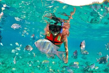 Snorkeling tour Express in Cancun with Certified Guide