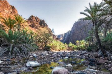 Private Safari Wadi Qunai and Three Pools Tour with Pickup