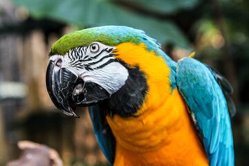 Bloedel Conservatory Admission Ticket