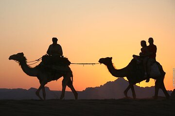 Wadi Rum Full Day Jeep Tour Include A Camel Ride 