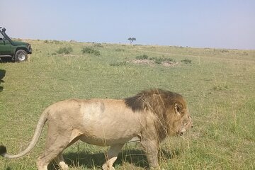7 Day Private Jeep Safari, 5 star lodges with Balloon Ride Kenya 