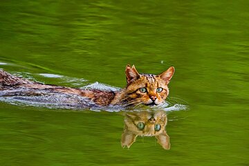 Explore Danube Delta and Black See in 2 Day Private Tour from Bucharest