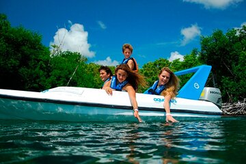 Adventure through Nichupte Lagoon & Mangroves Jungle - Individual 