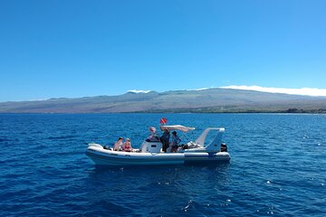 Private Big Island Snorkeling