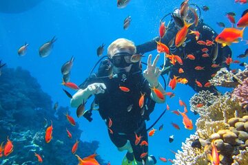 Snorkeling at Ras Mohamed in Sharm El Sheikh 