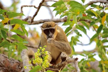  2Days private explore volta region