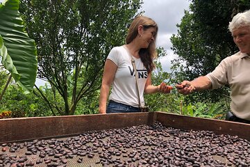 Chocolate Tour - Wonders of the Cacao