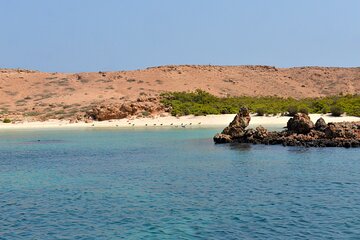 Snorkeling trips to Daymaniat Islands Sharing Trip